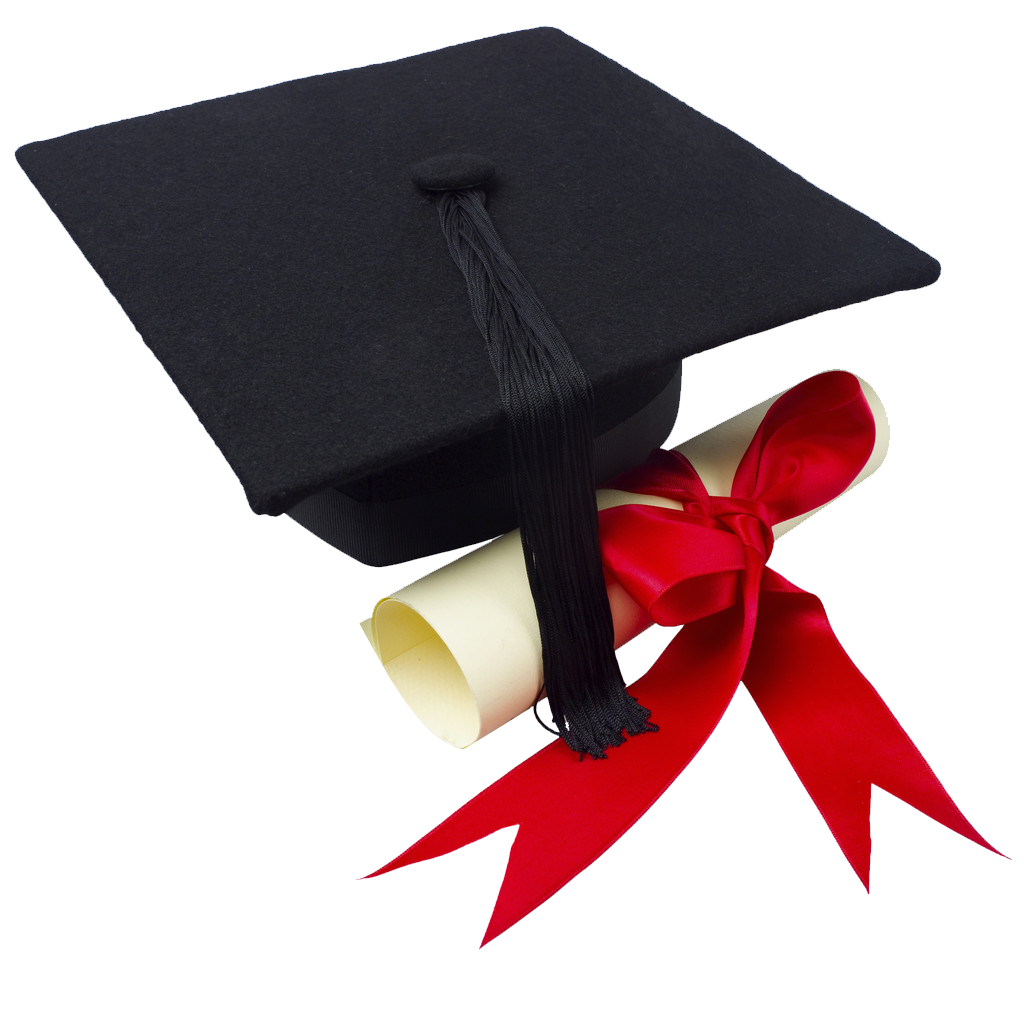 tocco-tesi
